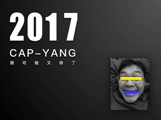 2017年度总结之我可能又帅了