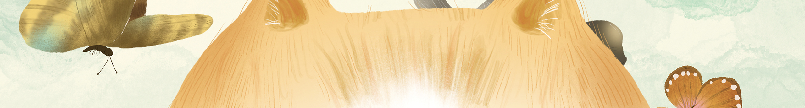 托尼虾虾的个人主页（封面预览） - 主页封面设置 - 站酷设计师托尼虾虾原创素材 - 站酷ZCOOL