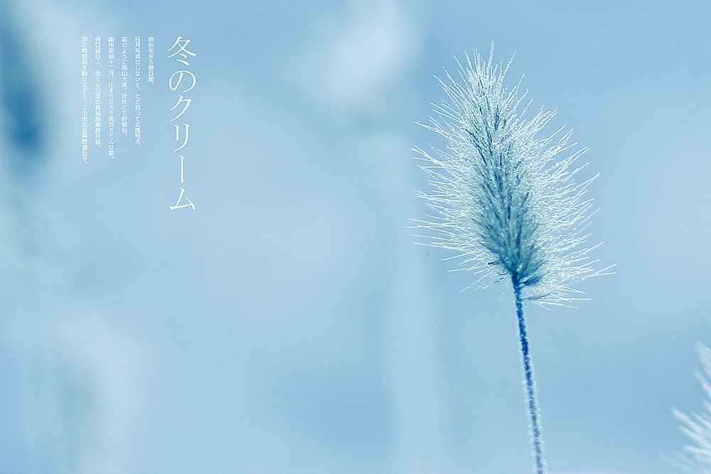 《冬季的霜》（图ZMTM0MzIyNTI=） - 风光摄影 - 站酷设计师michaelpst原创素材 - 站酷ZCOOL
