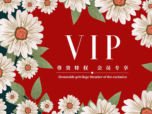 VIP设计