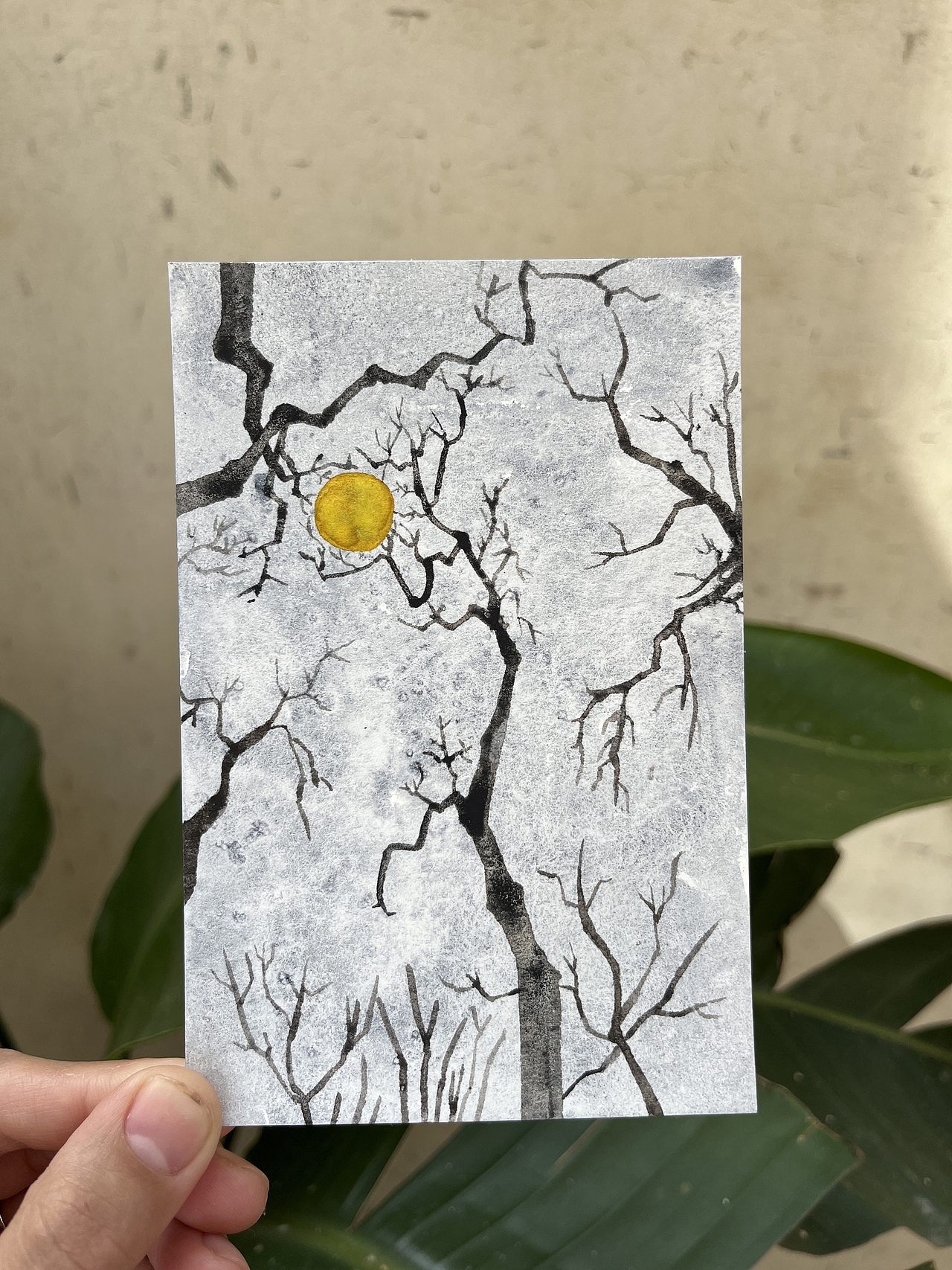 2023手绘插画总结(1)