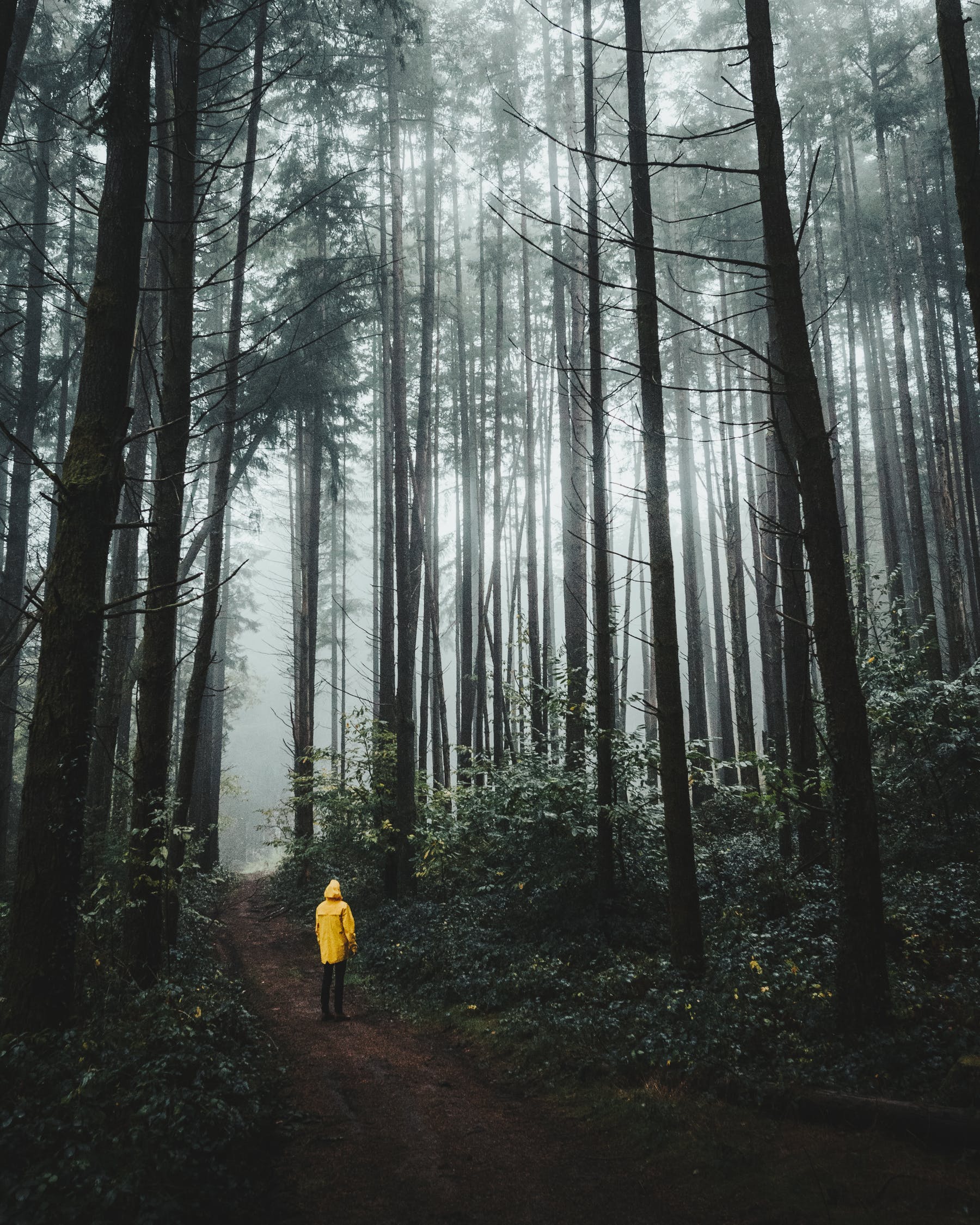 它說噗嗤的個人主頁（封面預(yù)覽） - 主頁封面設(shè)置 - 站酷設(shè)計師它說噗嗤原創(chuàng)素材 - 站酷ZCOOL