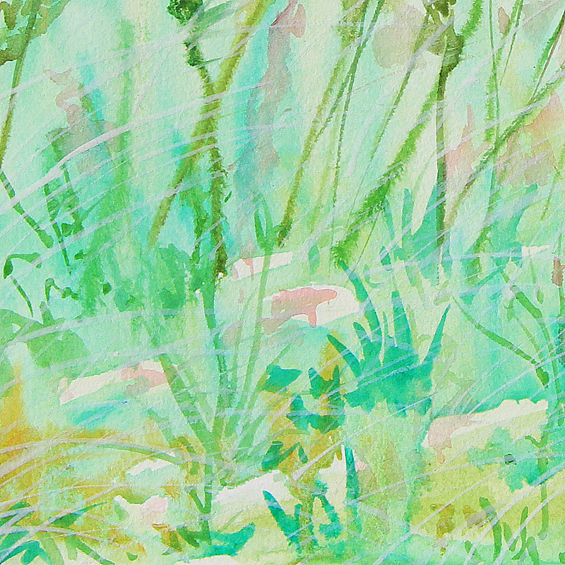 《初夏》原创水彩画