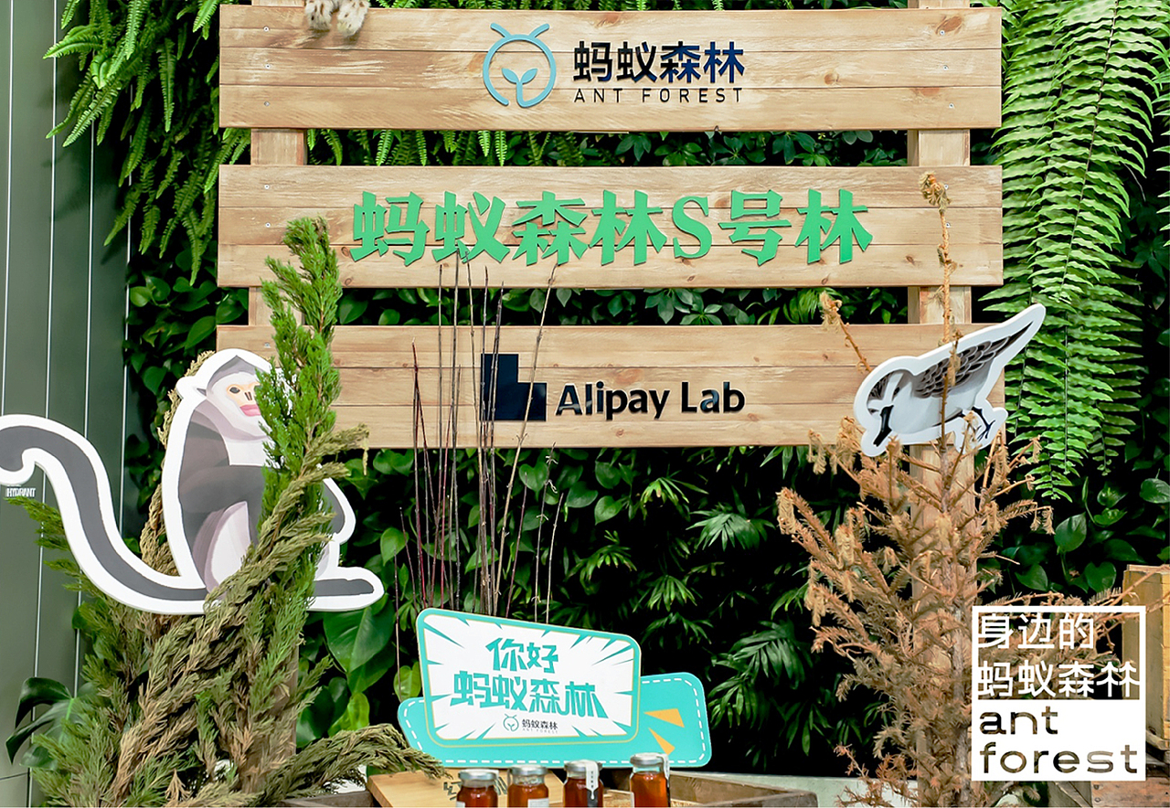 森林LAB 你身边的蚂蚁森林