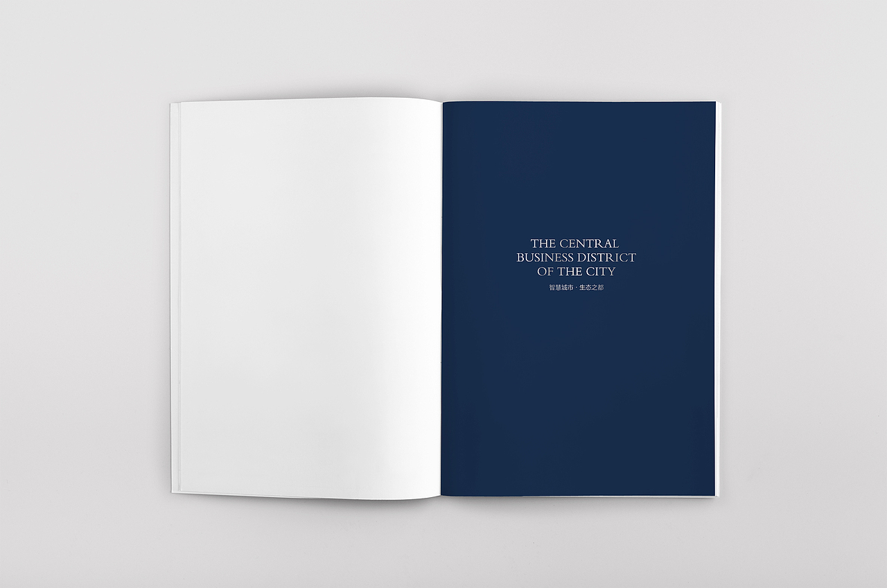 南京苏宁睿城甲级写字楼画册设计