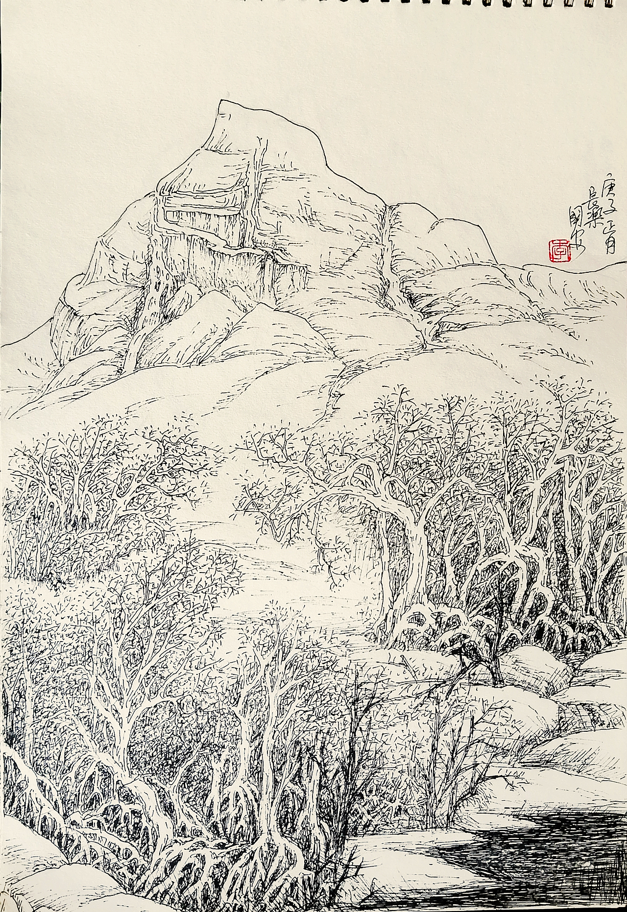 速写习作【叁】