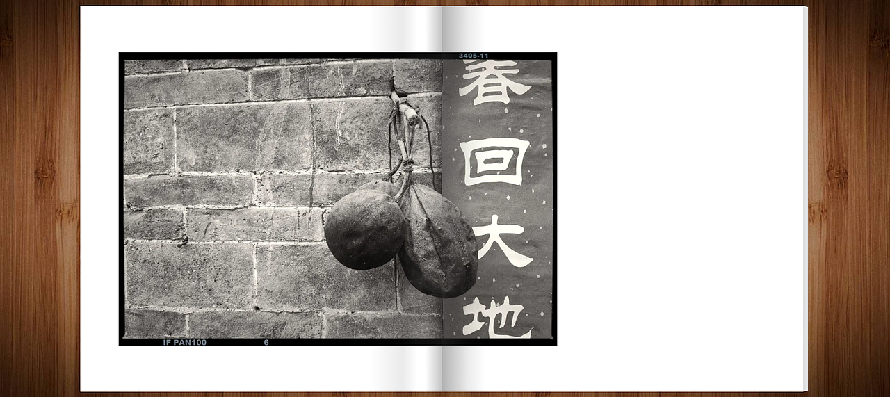 春回大地（图ZMjc5ODQ1NTg4） - 人文/纪实摄影 - 站酷设计师小黄本黄原创素材 - 站酷ZCOOL