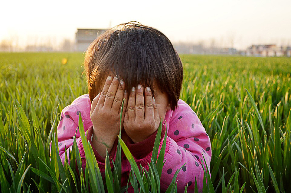麦田里的小菇凉