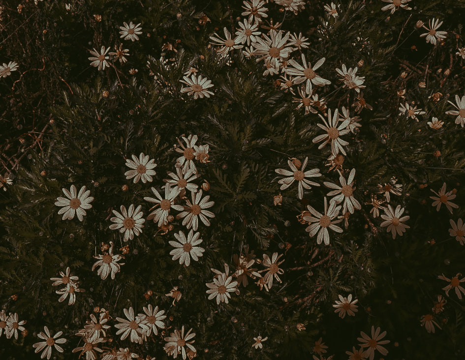 膝蓋上有個畫廊的個人主頁（封面預覽） - 主頁封面設置 - 站酷設計師膝蓋上有個畫廊原創(chuàng)素材 - 站酷ZCOOL