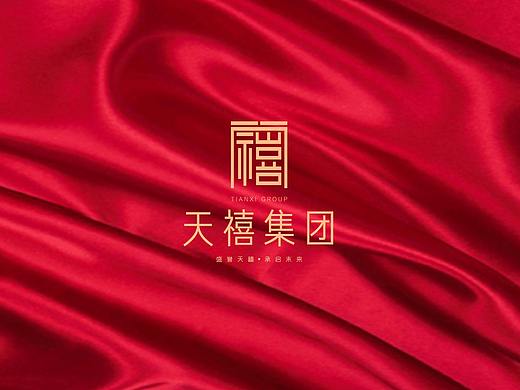 LOGO设计 天禧集团提案