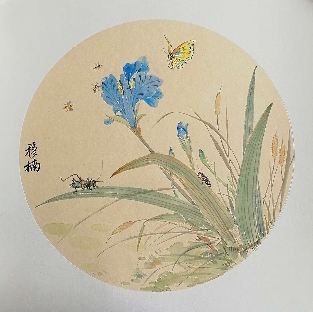 花鸟团画（图ZMTU5MjAxMTg0） - 绘画 - 站酷设计师穆尔烟原创素材 - 站酷ZCOOL