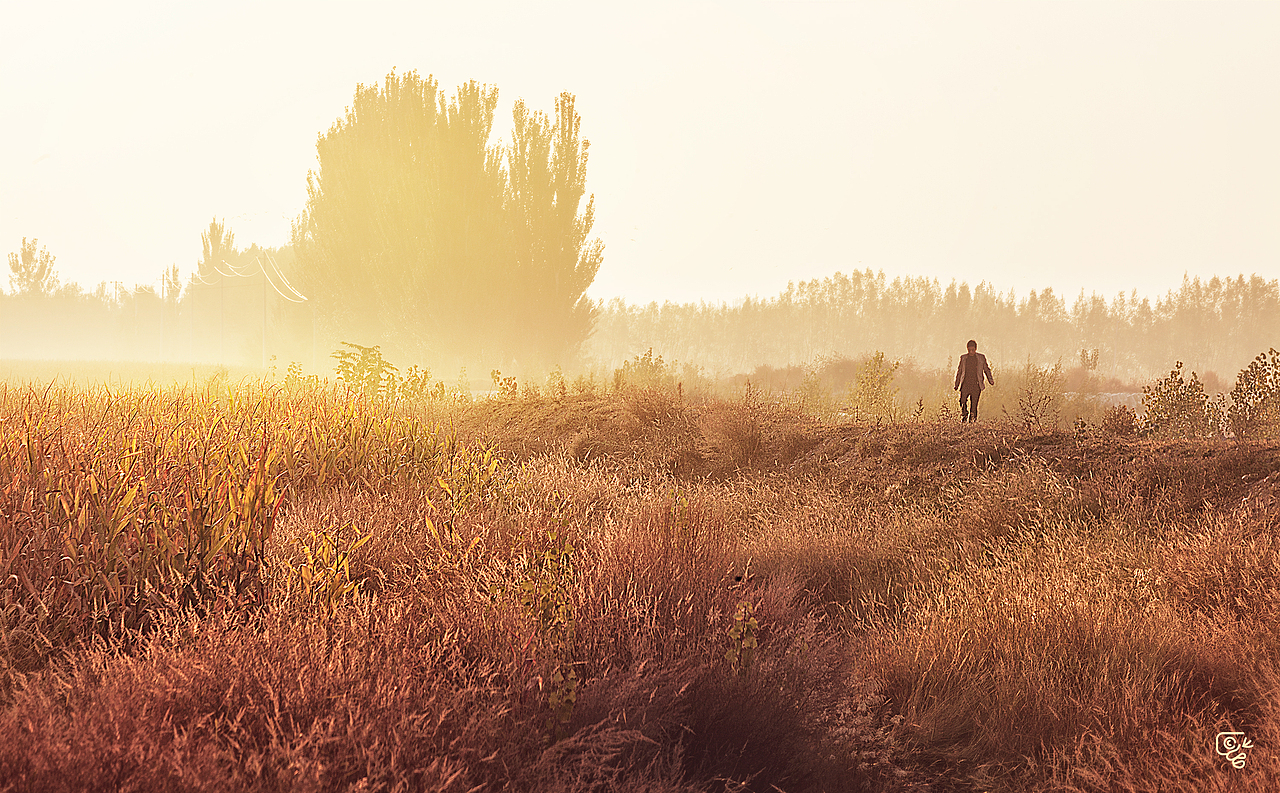 中卫印象·母亲河（图ZMjMzODU2MDIw） - 风光摄影 - 站酷设计师訾语原创素材 - 站酷ZCOOL