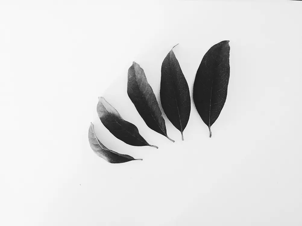 个人p（图ZNDg4OTA5MTY=） - 风光摄影 - 站酷设计师爱你的章鱼哥原创素材 - 站酷ZCOOL