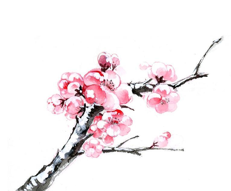 古风素材（图ZMTQ3ODAwMDMy） - 商业插画 - 站酷设计师鸿飛插画原创素材 - 站酷ZCOOL