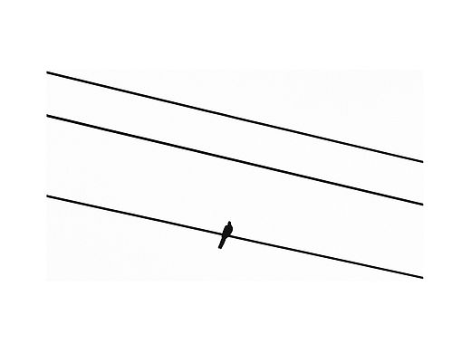 在熙攘的人海里,缓慢埋没着每周每个月