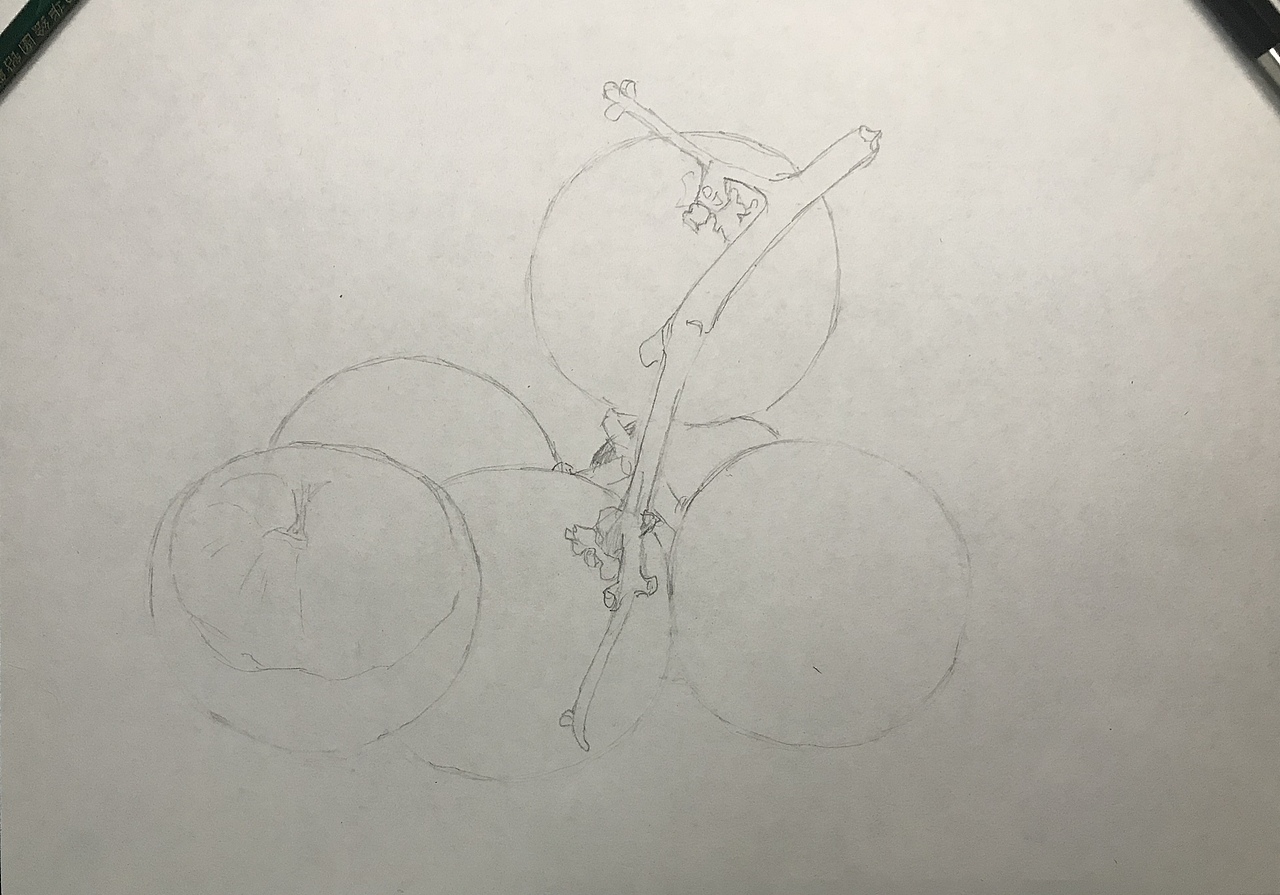 桂圆