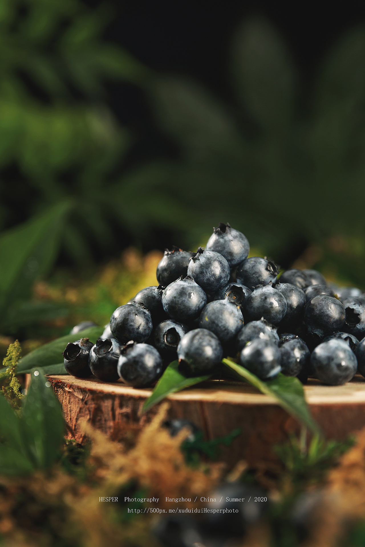 蓝莓|摄影|产品摄影|hesperr_原创作品-站酷zcool