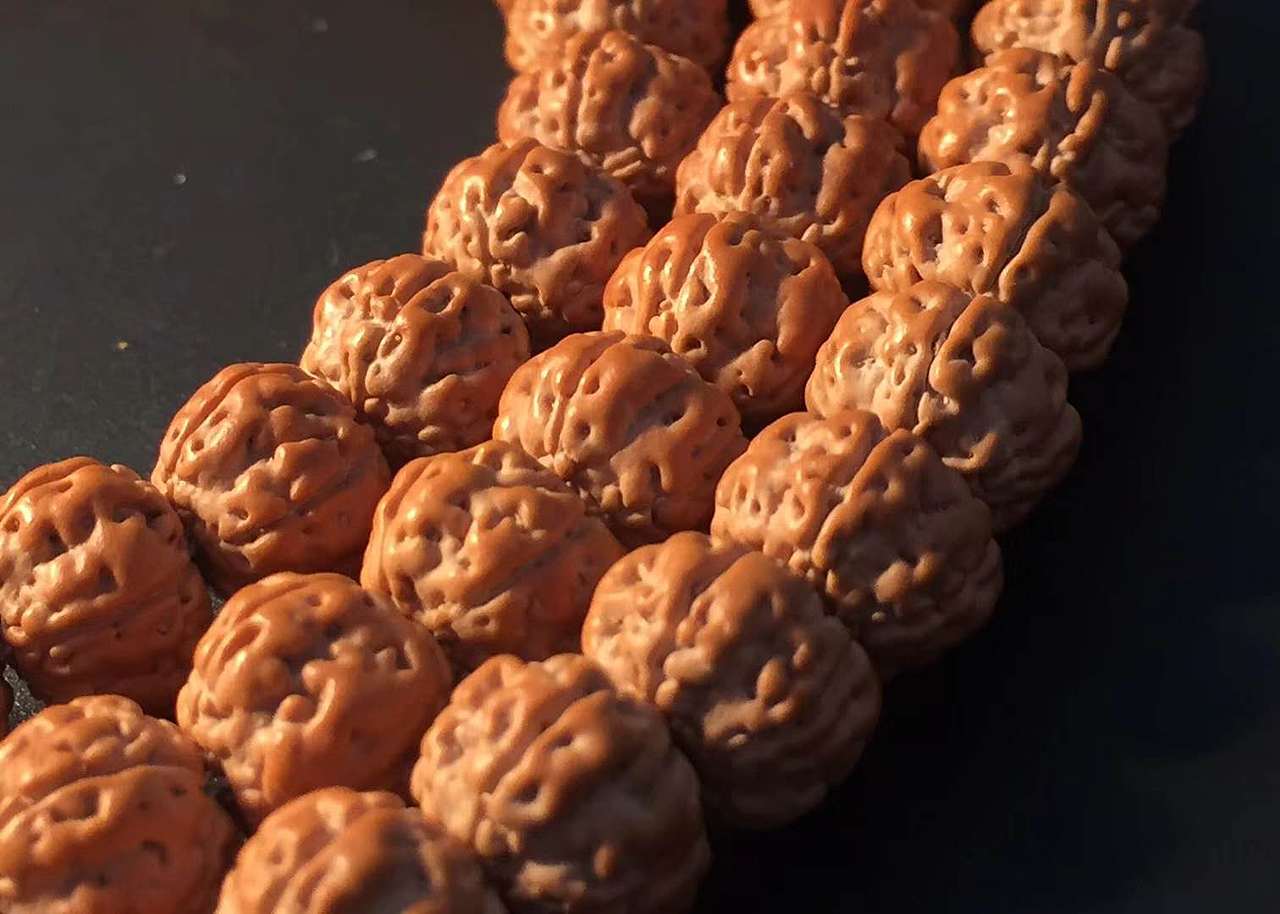 【五瓣树王 矮桩双龙纹】