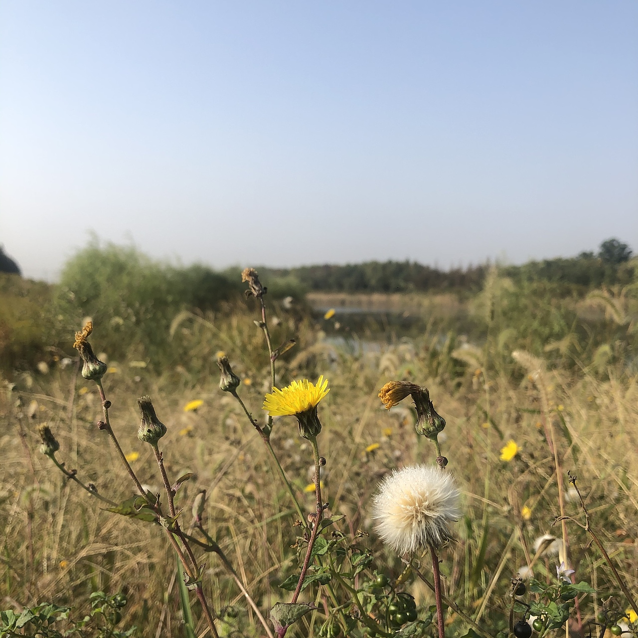 秋（图ZMjc1ODE4MzQ0） - 风光摄影 - 站酷设计师哈皮狗原创素材 - 站酷ZCOOL