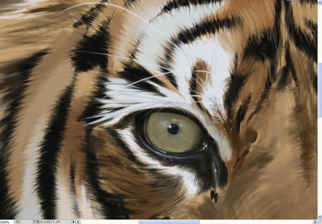 Tiger(图ZMTEyOTIxMDg=) - 创作习作 - 站酷设计师SW伯爵原创素材 - 站酷ZCOOL