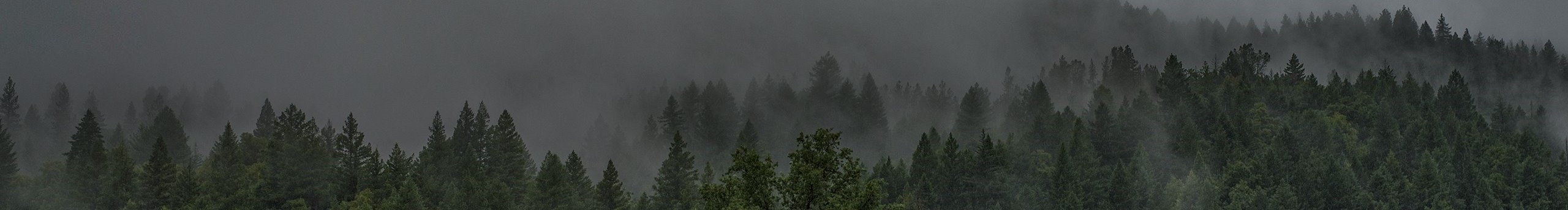 原野Field的个人主页（封面预览） - 主页封面设置 - 站酷设计师原野Field原创素材 - 站酷ZCOOL