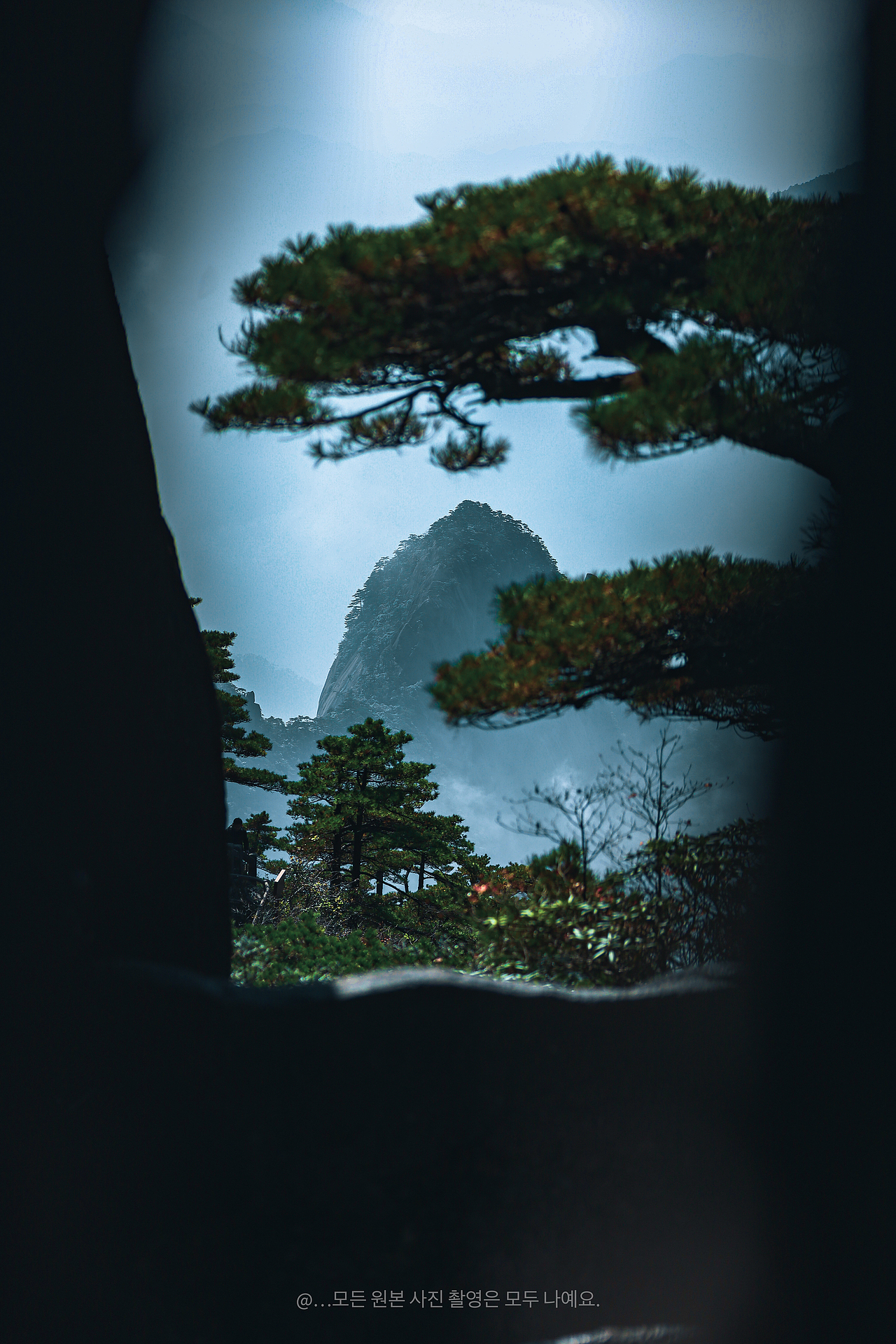 云雾山间:探寻诗意的自然秘境