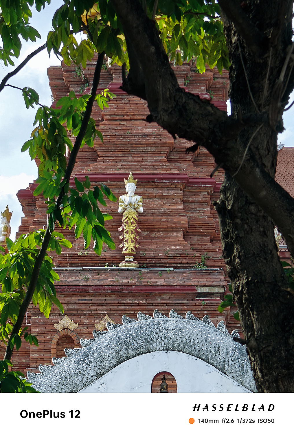 OnePlus 12｜总有一个冬季要留给西双版纳（图ZMzYxNTE2NjMy） - 风光摄影 - 站酷设计师图龙摄影原创素材 - 站酷ZCOOL