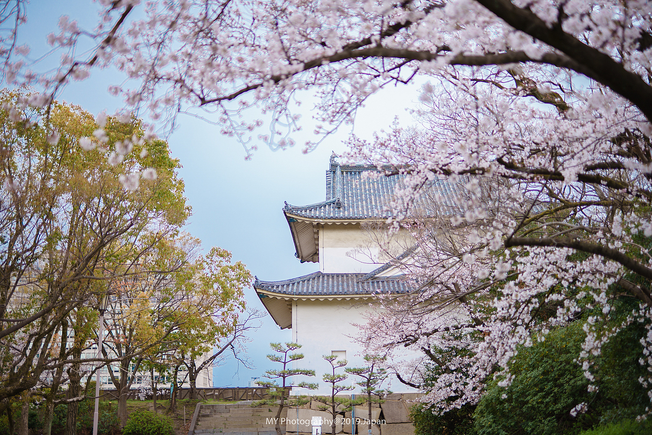 大阪城公园（图ZMTU3NTMzNjE2） - 风光摄影 - 站酷设计师燕麦记摄影王小麦原创素材 - 站酷ZCOOL