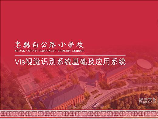 忠县白公路小学VIS系统