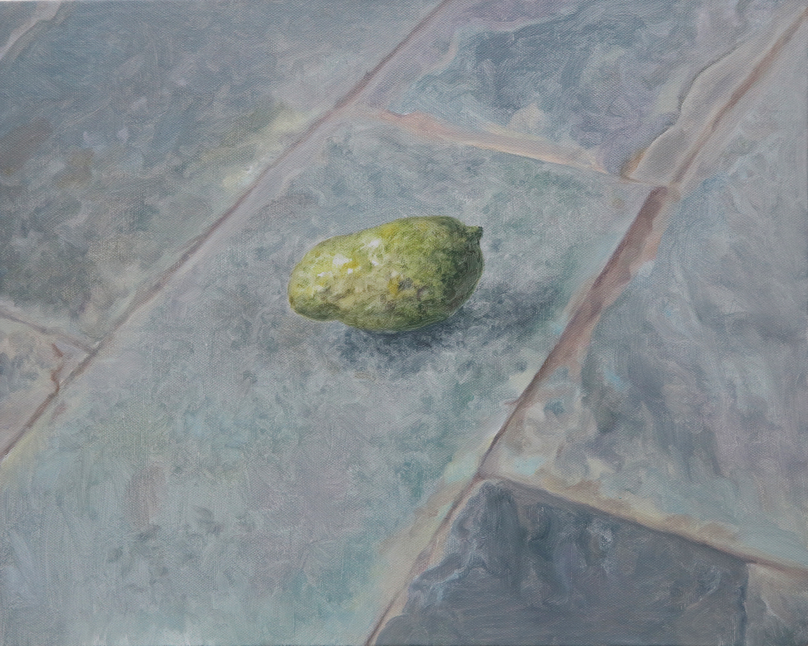 油画 静物油画 手绘 芒果——舒杨