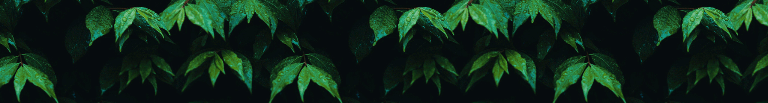 瘋狂的阿Sam的個人主頁（封面預(yù)覽） - 主頁封面設(shè)置 - 站酷設(shè)計師瘋狂的阿Sam原創(chuàng)素材 - 站酷ZCOOL