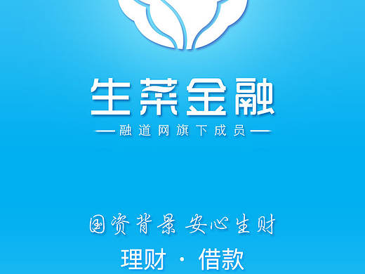 APP启动页 金融类