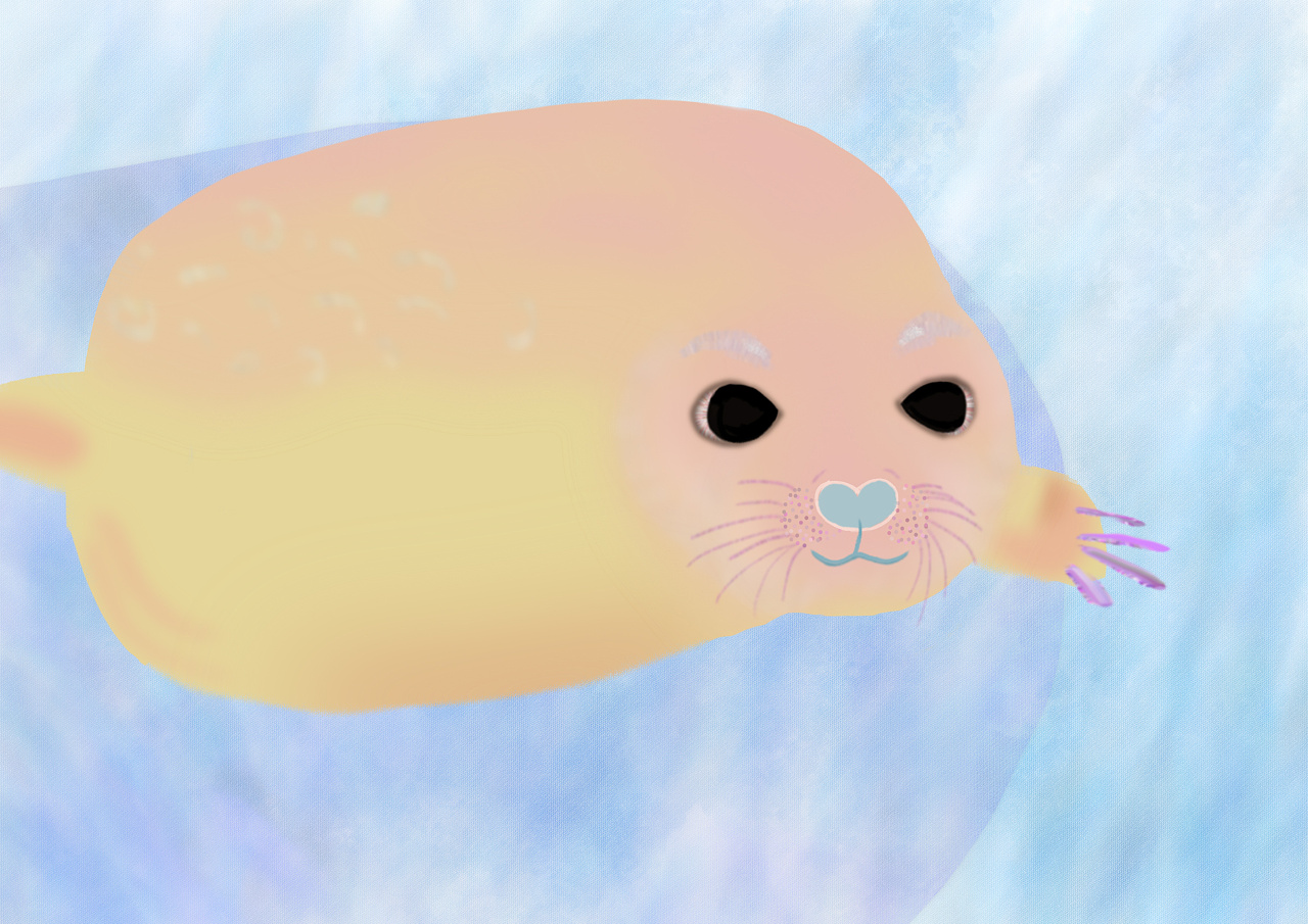 海豹|插画|创作习作|月秒 - 原创作品 - 站酷 (zcool)