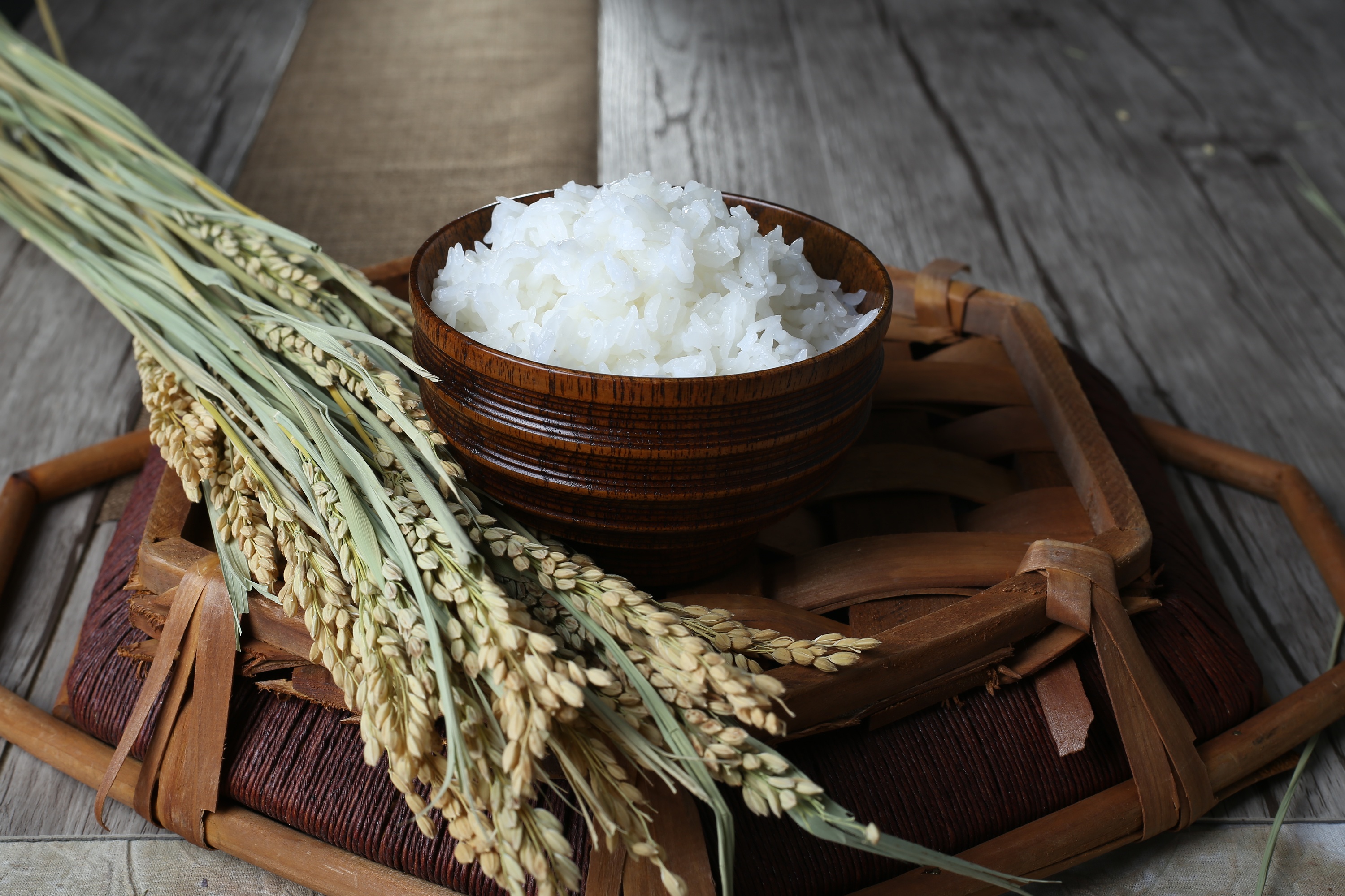 粮食水稻大米摄影图高清摄影大图-千库网