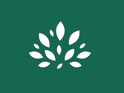 中医vi设计_保健vi设计_医疗vi设计和logo设计