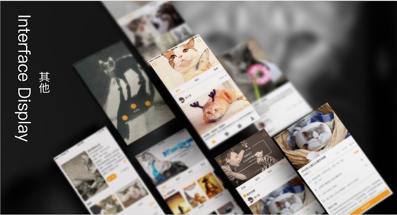 喵呜APP（图ZNzQ4MDAyMDA=） - APP界面 - 站酷设计师白鱼非羽原创素材 - 站酷ZCOOL