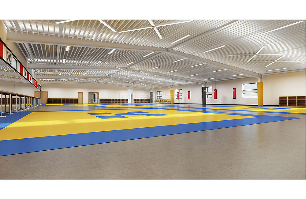 郑州搏威跆拳道馆设计案例效果图_培训机构装修公司