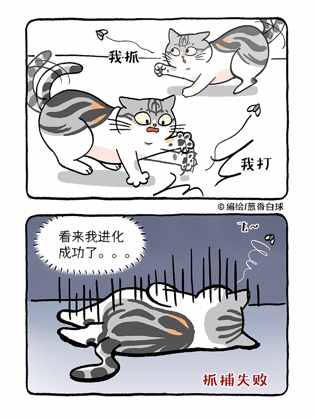 葱香小剧场1（图ZMzMxNzAwNTQ4） - 短篇/格漫 - 站酷设计师葱香白球原创素材 - 站酷ZCOOL