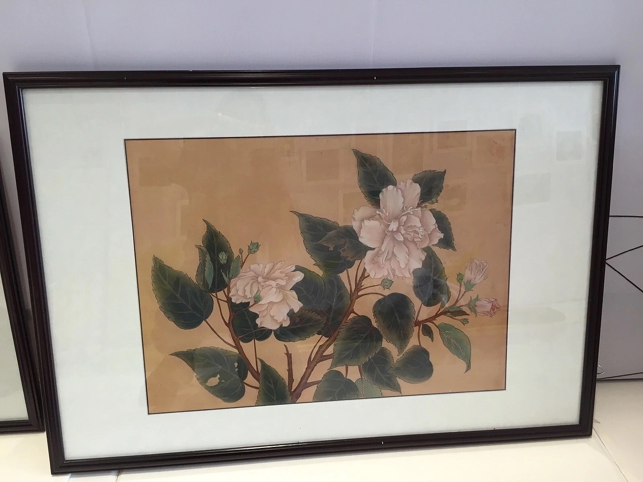 粉色芙蓉（图ZNjQxNjY5OTY=） - 绘画 - 站酷设计师猪猪猪猪猪猪猪猪原创素材 - 站酷ZCOOL