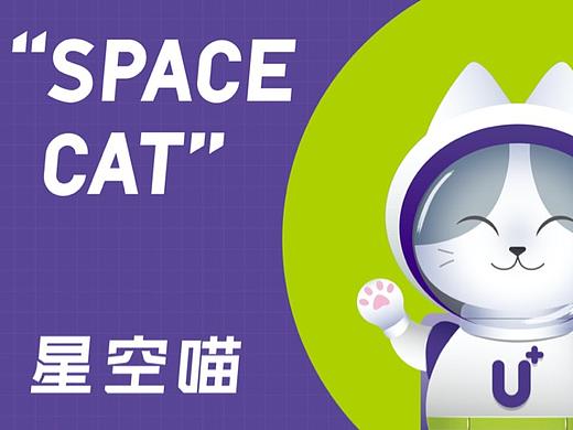 星光優(yōu)家IP形象“星空喵”設計（個人主頁-ZNTAxNzUyNDg=） - IP形象 - 站酷設計師阿肝_SHi原創(chuàng)素材 - 站酷ZCOOL