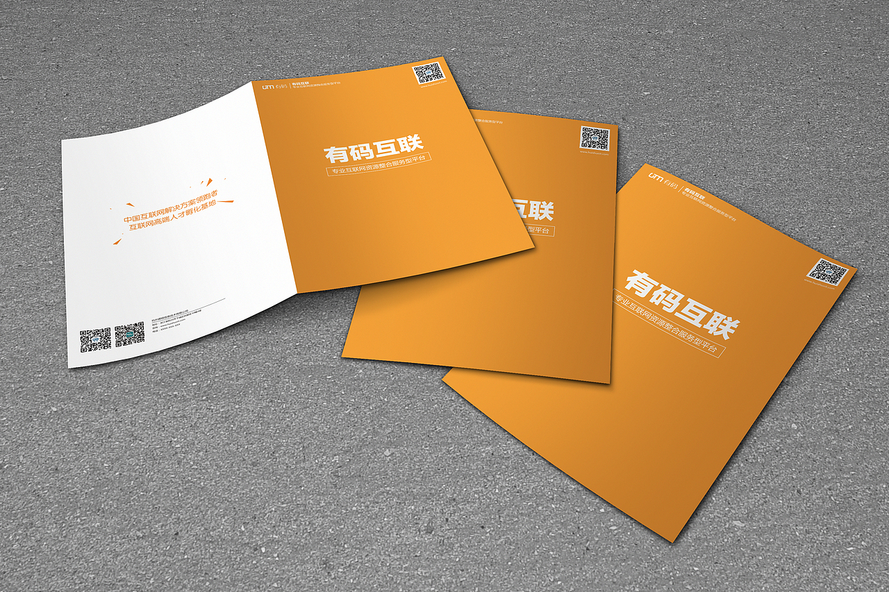 一些VI折页与手提袋