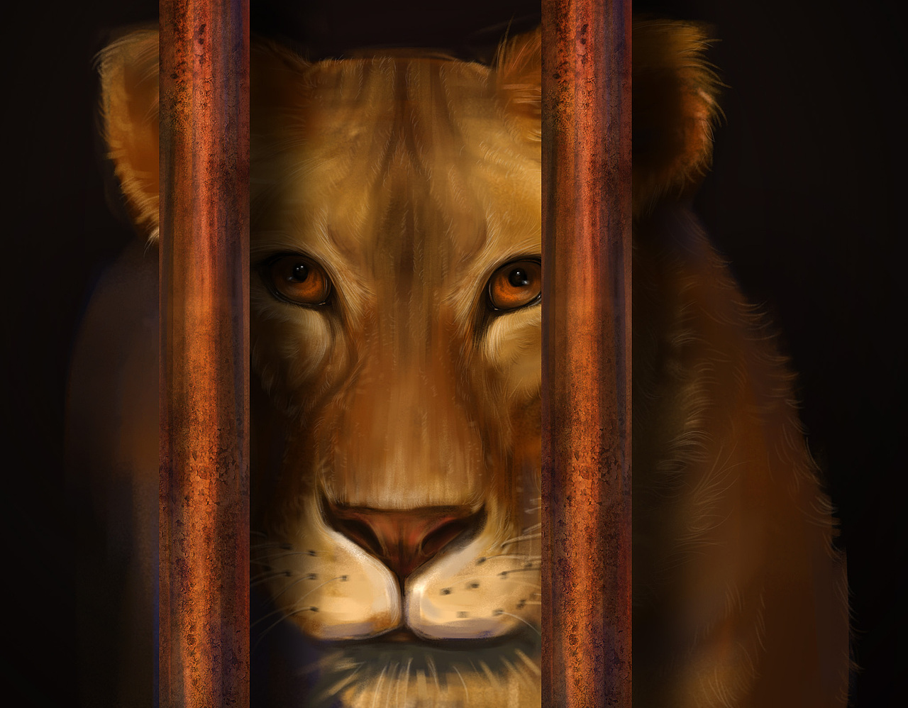 过去的杂七杂八