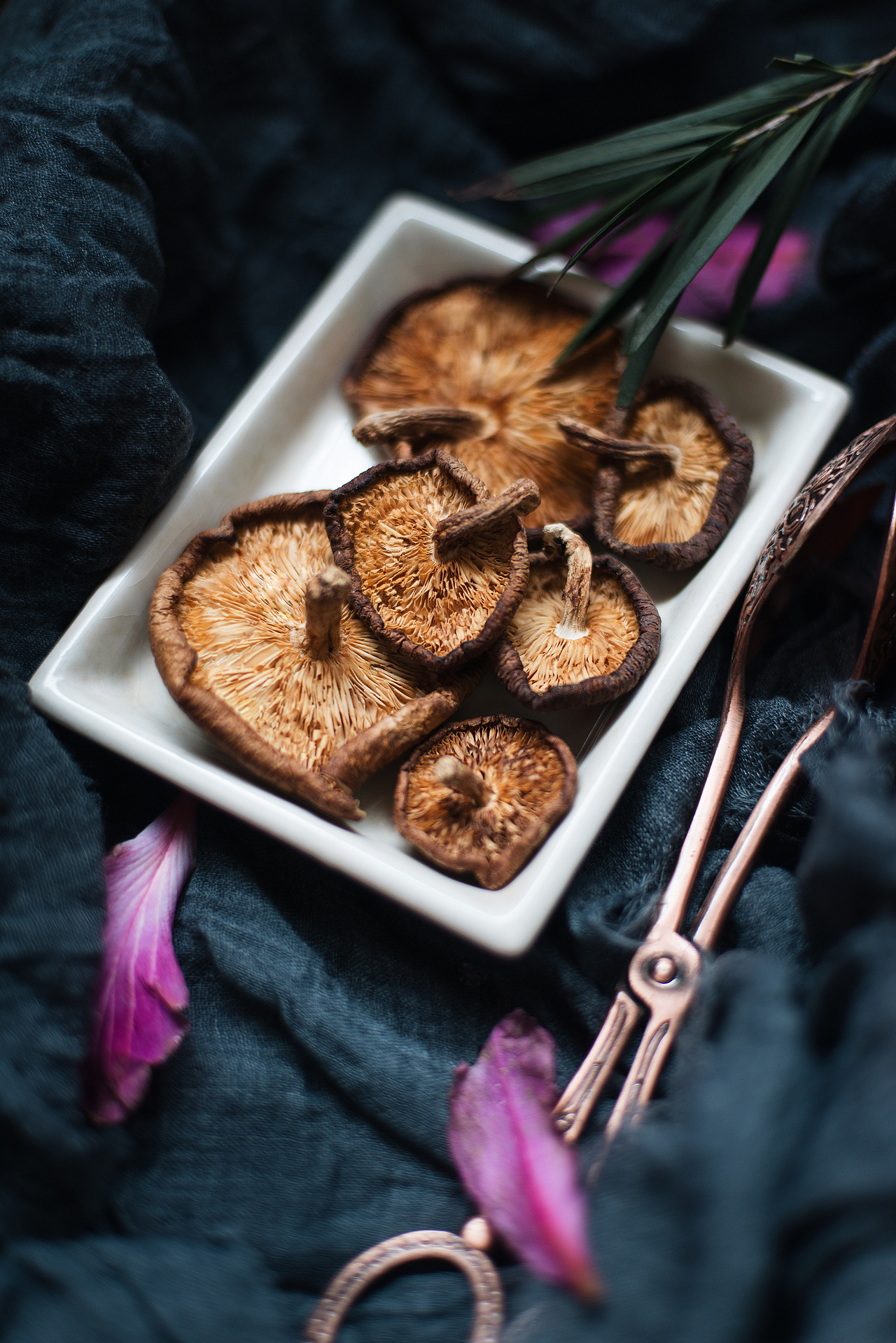 美食拍摄 | 野生香菇