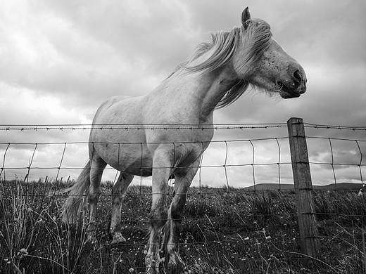 黑白丨苏格兰天空岛·自然生长