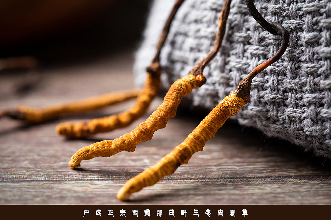 虫草品牌-甘丹堂