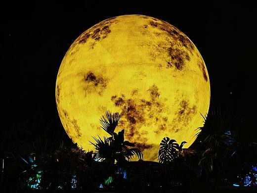 长沙的夜生活
