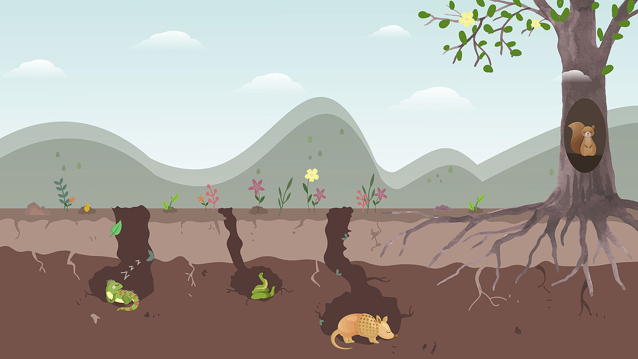 二十四节气 - 惊蛰