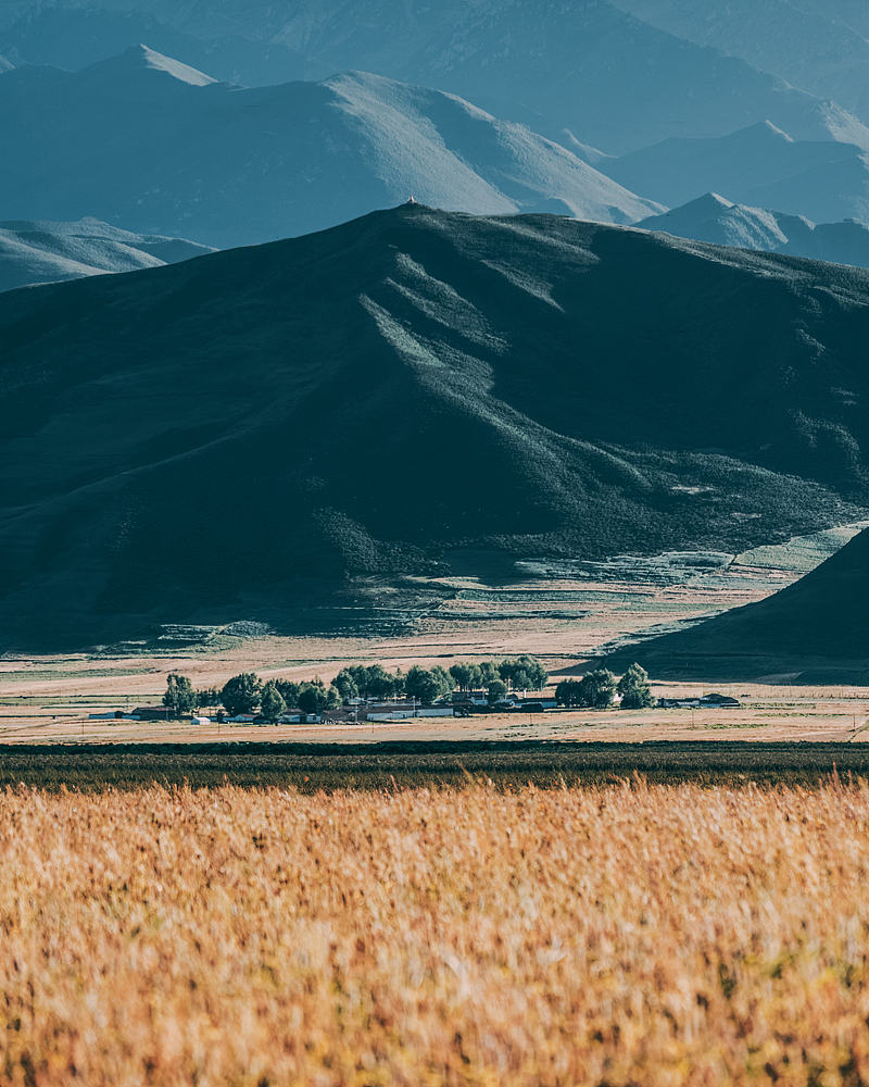 祁连草原,到了夏天西北一路这样的田园风光。