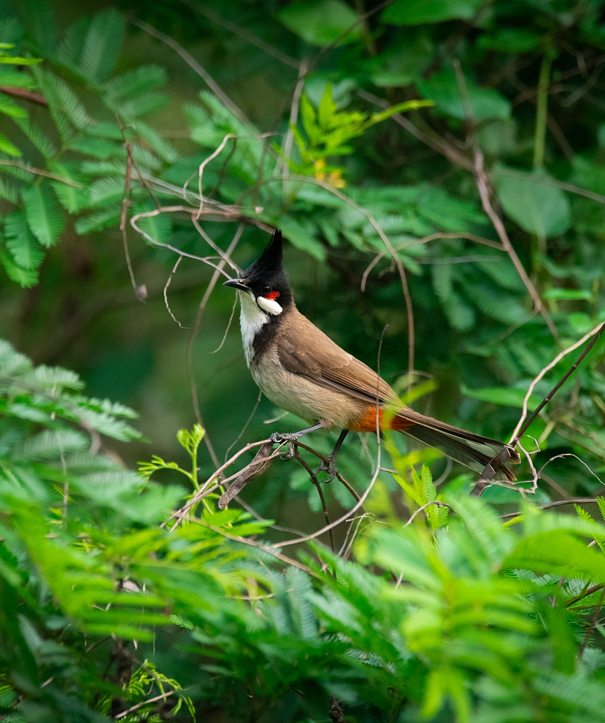 飞鸟集（图ZMzM4NDUwMzQ0） - 风光摄影 - 站酷设计师Xyaihaoze原创素材 - 站酷ZCOOL