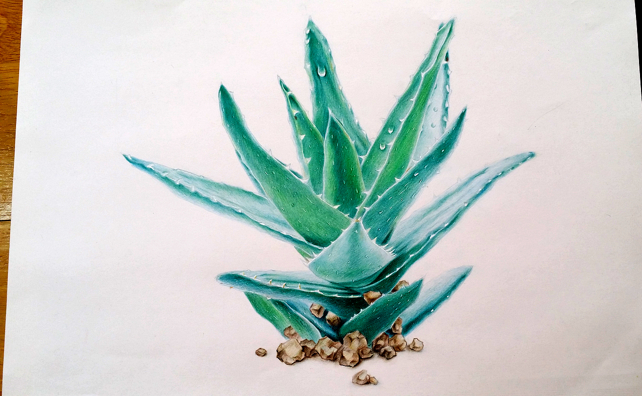 我不知将去向哪里，但我已在路上。——彩铅作业小结（图ZNTYyNTY1NDA=） - 绘画 - 站酷设计师林朵云原创素材 - 站酷ZCOOL